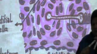 19) Dr.Gihan [Bone] Part I