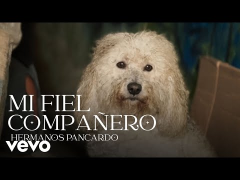 Hermanos Pancardo - Mi fiel compañero - Imposible no llorar - (Video oficial)