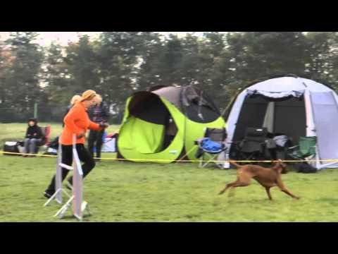 25.10.2015 DOORS DANITTY - Agility dvojzkoušky Ratenice