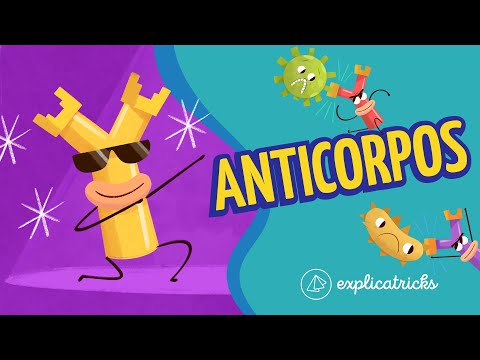 What are antibodies?