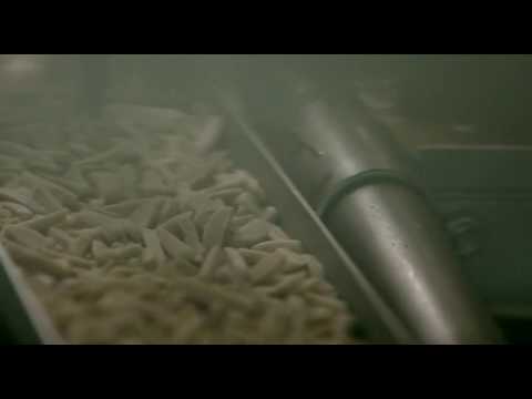 Fabricación Bombones helados