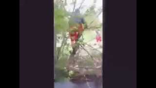 Fails watch this