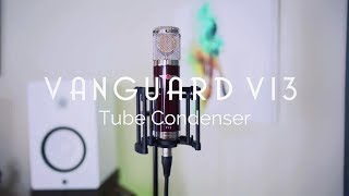 Video thumbnail for Vanguard V13 9-Pattern Tube Condenser Microphone by Derek B