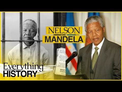 Prisoner to President: Nelson Mandela's Journey to Freedom | Where Were You? | Everything History