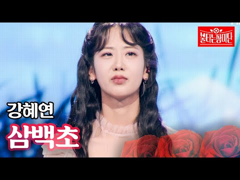 강혜연 - 삼백초｜불타는 장미단 67회