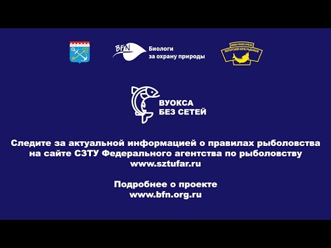 Вуокса без сетей