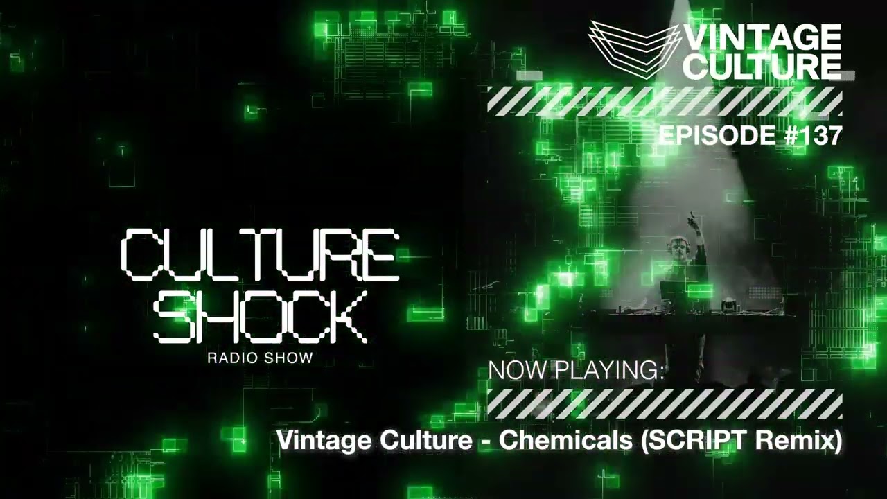 Vintage Culture - Culture Shock #137