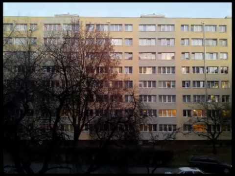 Brok Śniardwy 6 - Służewiec