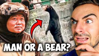 I Went to the Fake Bear Zoo in China to See if it’s Real