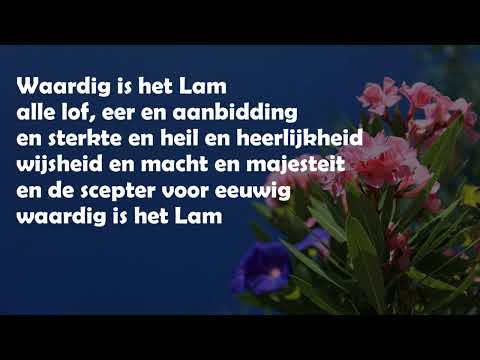 Opwekking met tekst 264 Waardig is het Lam
