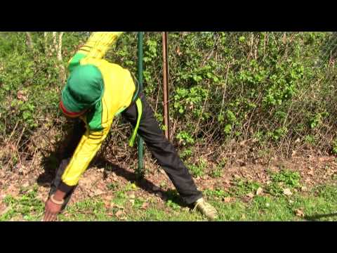 Fitta Warri FIT AGAIN