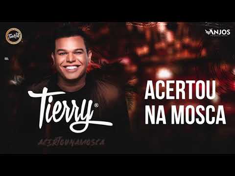 Tierry (Feat. Gusttavo Lima) - Acertou Na Mosca (Ao Vivo) [Áudio Oficial]