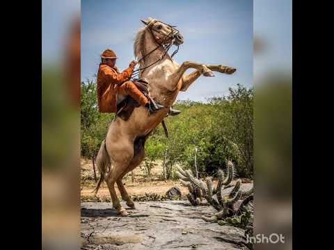 Edy e Nathan - Se quiser é Desse jeito Ft. Tarcísio do Acordeon