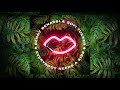 Benny Benassi & SOFI TUKKER - Everybody Needs A Kiss [Ultra Music]