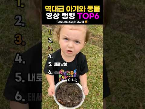 역대급 웃긴 아기와 동물😲