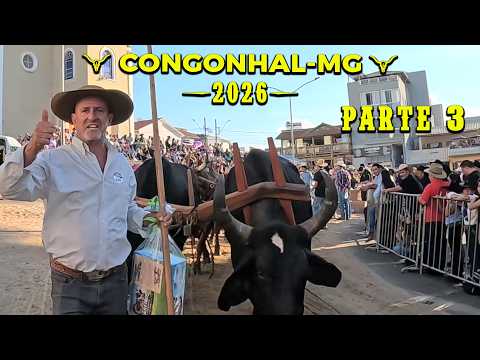 O 35º DESFILE DE CARREIROS DE CONGONHAL MG