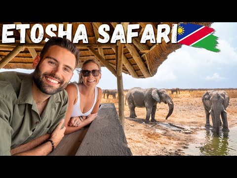 We Went On A Luxury Safari In A Namibian Private Game Reserve