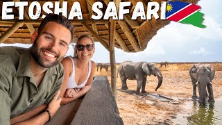 We Went On A Luxury Safari In A Namibian Private Game Reserve