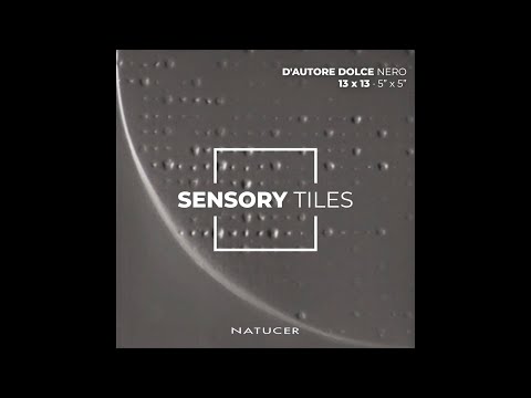 Imagen representativa video