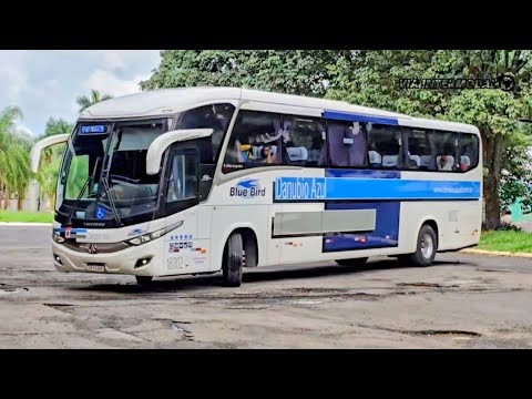 Rodoviária de Jaboticabal (SP) – Movimentação de Ônibus | Parte 1