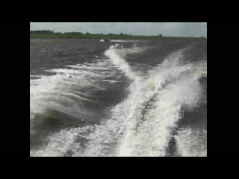 Cigarette Powerboote auf der Weser bei Bremen