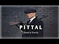 PITTAL Song Instagram Trending Lofi Slowed Riworb PS POLIST New Haryanvi Song