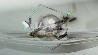 The Devil&#39;s Dick Disaster