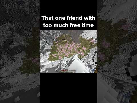 Minecraft Friend Moment