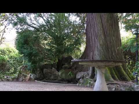 Etwas ausserhalb der Stadt Solothurn liegt die idyllische Verenaschlucht, ein mystischer Kraftort