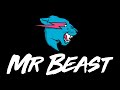 I'm building a Mr  Beast level in the 