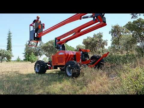 PLATAFORMA ELEVADORA P12 ECO