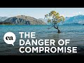 The Danger of Compromise | Joyce Meyer