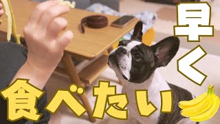 久しぶりのバナナに大興奮するフレブル🤣