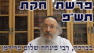 פרשת חקת תש"פ-הרב פינחס שלום פרידמן
