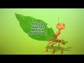 Opening To Antz 2001 UK DVD