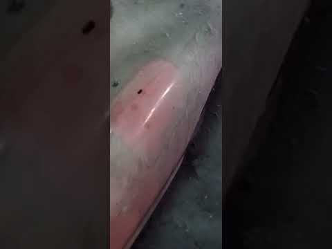 Thumbnail for 1956 Facel Vega BARN FIND /Rare only $115,000 by Facel Vega
