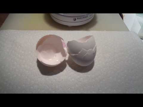 Natural Eggshell Membrane - NEM - preparing eggshells - recipe