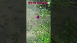 Download lagu ab ke baras tujhe dharti ki rani,(jor ki barish⛈️⛈️)short video mp3