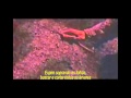 Bones - Okay,ButThisIsTheLastTime (legendado ...