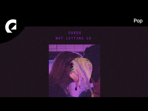 Suedo feat. Andy Delos Santos - Not Letting Go