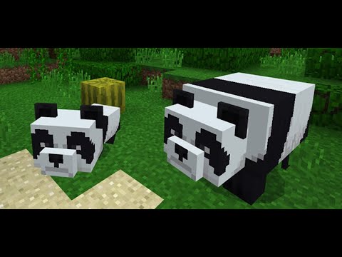 ShadKnight - Panda Minecraft Mob LORE #Shorts (bot)