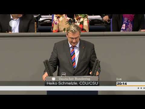 Heiko Schmelzle: Medizinische Versorgung für Geflüchtete [Bundestag 25.02.2016]