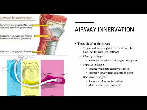 AKT-1 2024: Gaps in Knowledge PART 1 of 2