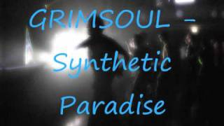 Grimsoul - Synthetic Paradise