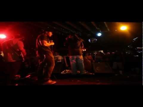 Tribal Theory Live Covers