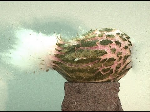 Aimed Research - Cutting Edge Bullets - Terminal Effects On Watermelon 22,000fps