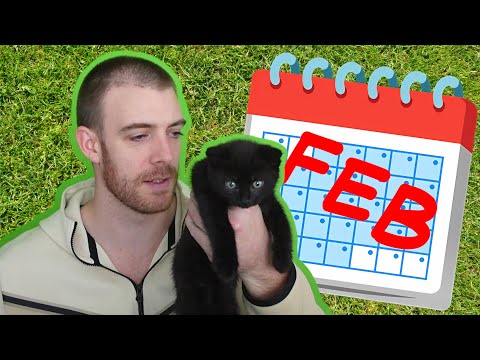 My Feb Poker Results