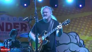 TINSLEY ELLIS • Saving Grace • Big Blues Bender 2018