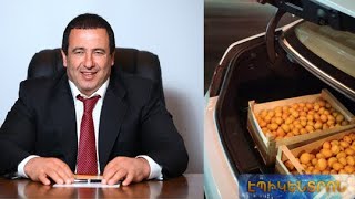 Գ.Ծառուկյանի խոշոր աջակցությունը Պետերբուրգում ծիրանով բեռնված հայկական բեռնատարներին