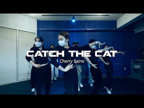 CEra Waacking Class | Cherry Laine - Catch The Cat | 왁킹